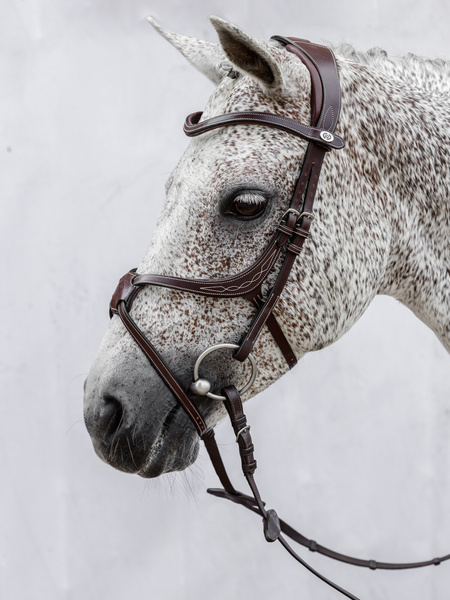 Athens Archive Bridle