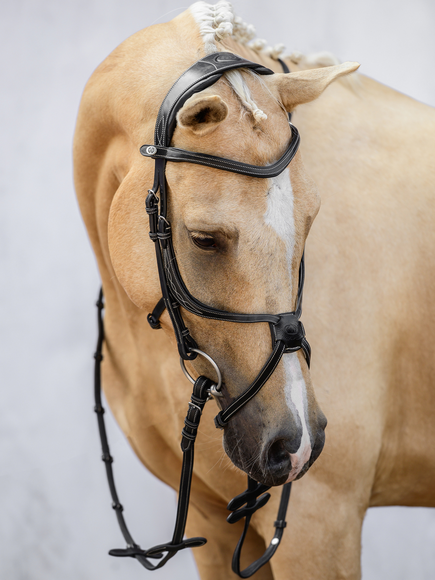 Athens Archive Bridle