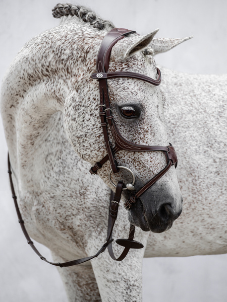 Athens Archive Bridle