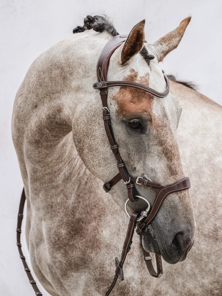 Nirak Bridle + Reins Softy / Supergrip