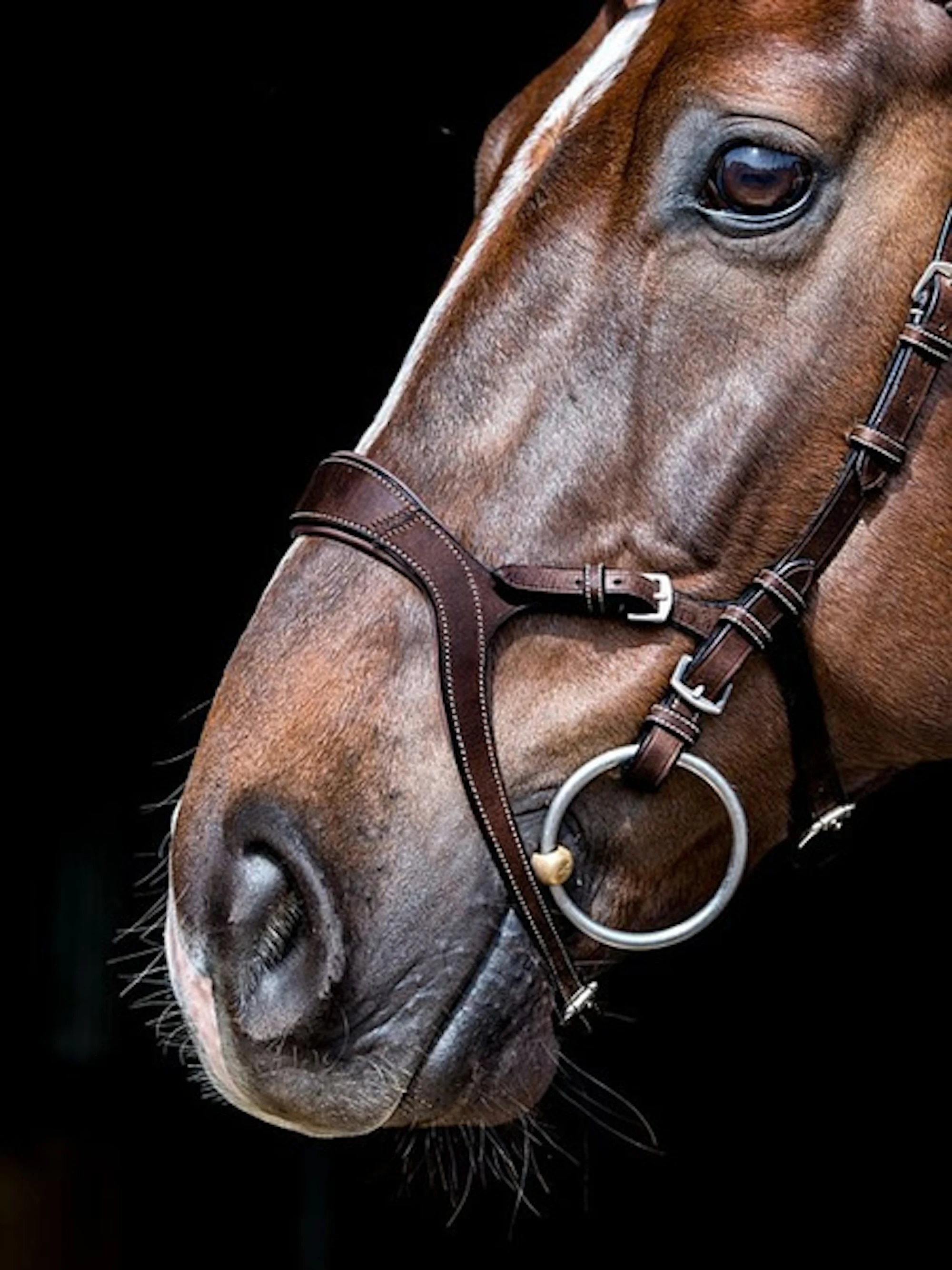 Nirak Bridle + Reins Softy / Supergrip Nirak Bridle + Reins Softy / Supergrip