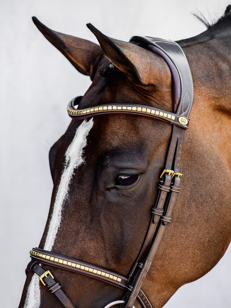 Antwerp Bridle + Reins Santa Fe