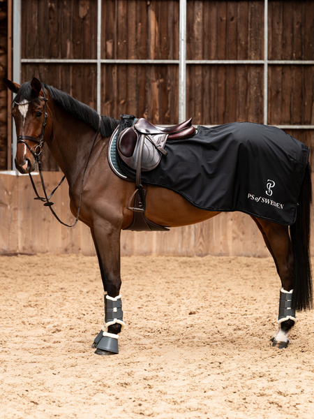 Versatile Exercise Rug