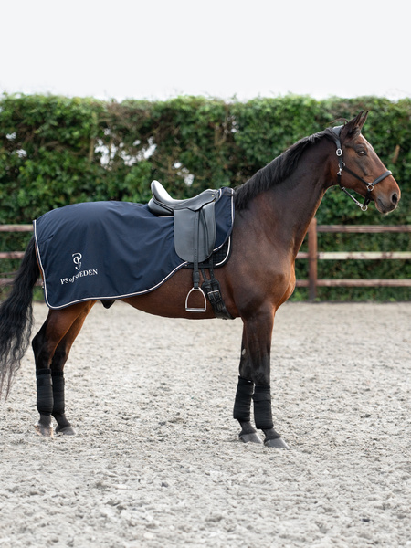 Versatile Exercise Rug