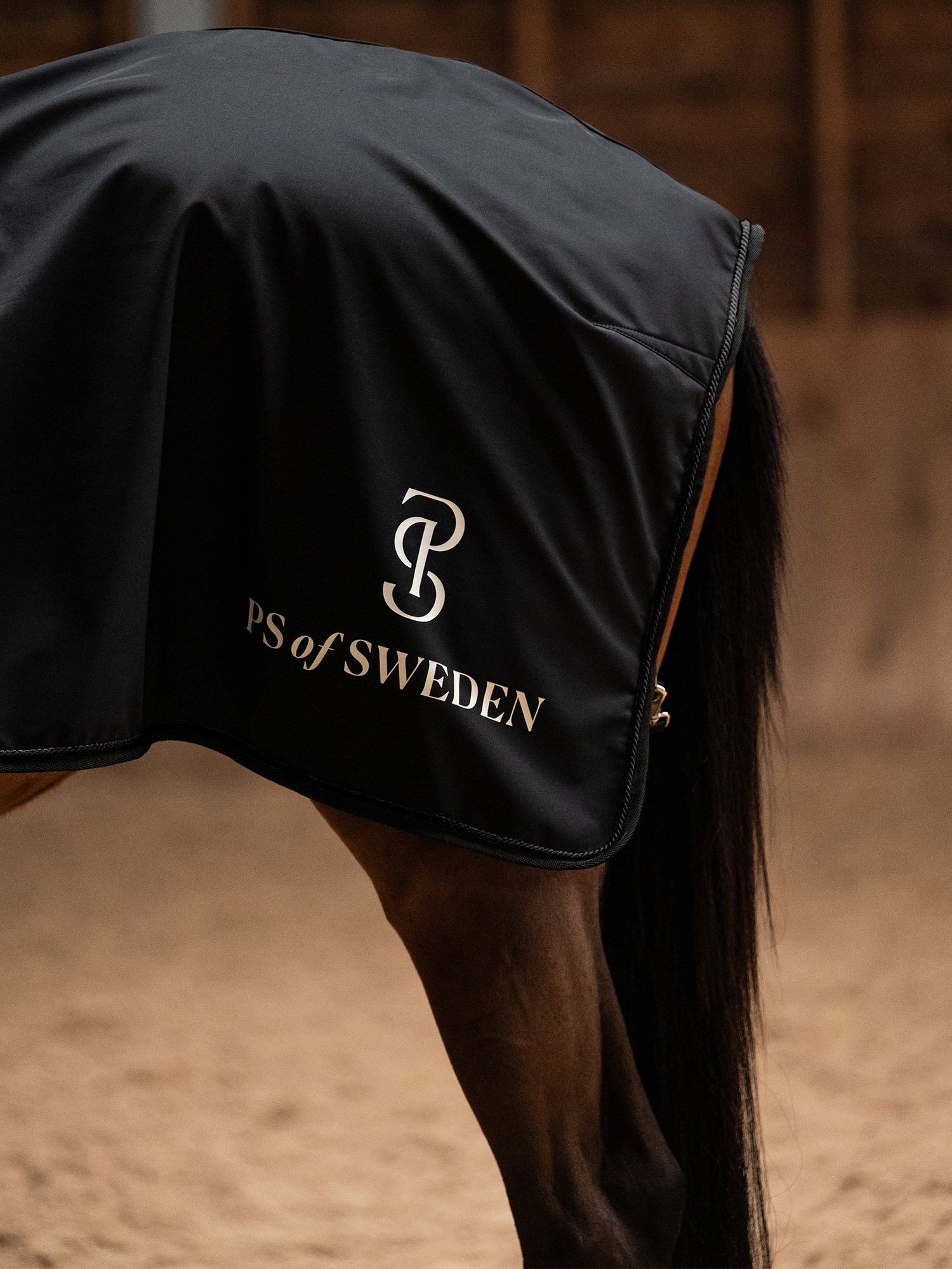 Versatile Exercise Rug