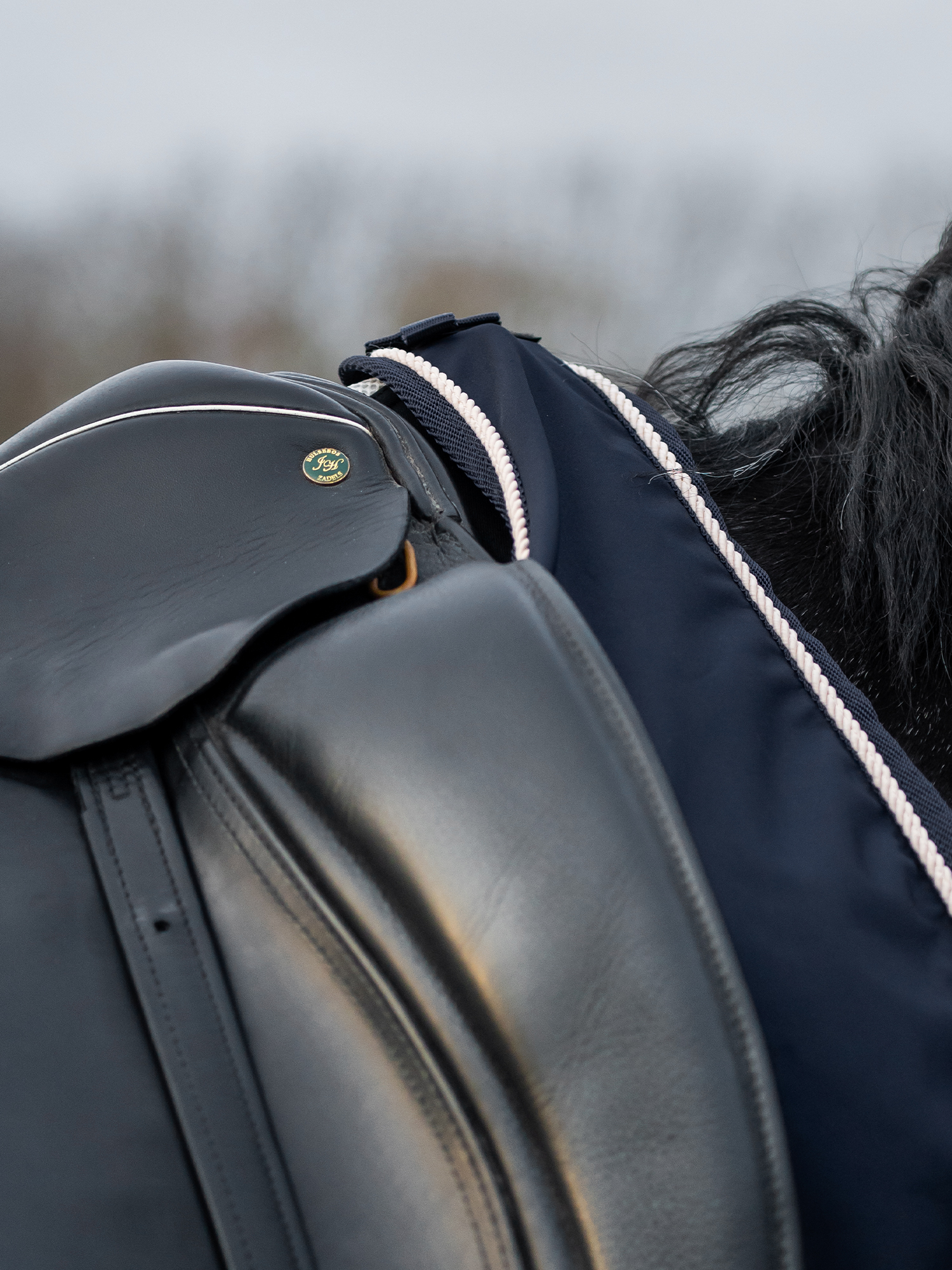 Versatile Exercise Rug