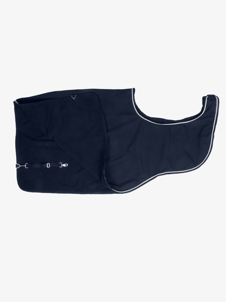 Versatile Exercise Rug