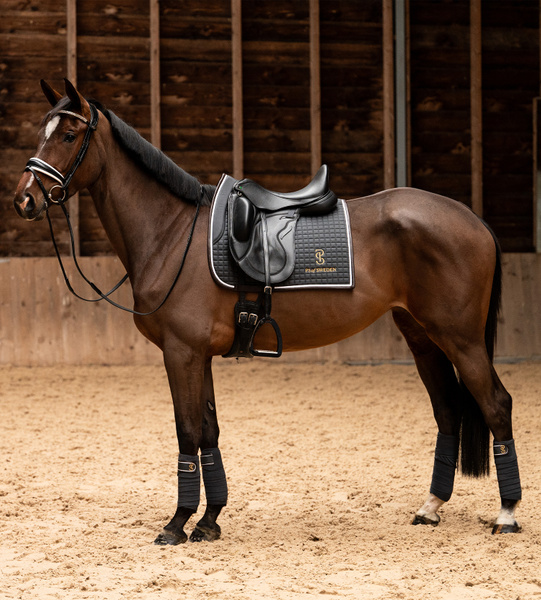 Saddle Pad Dressage Elite Edge