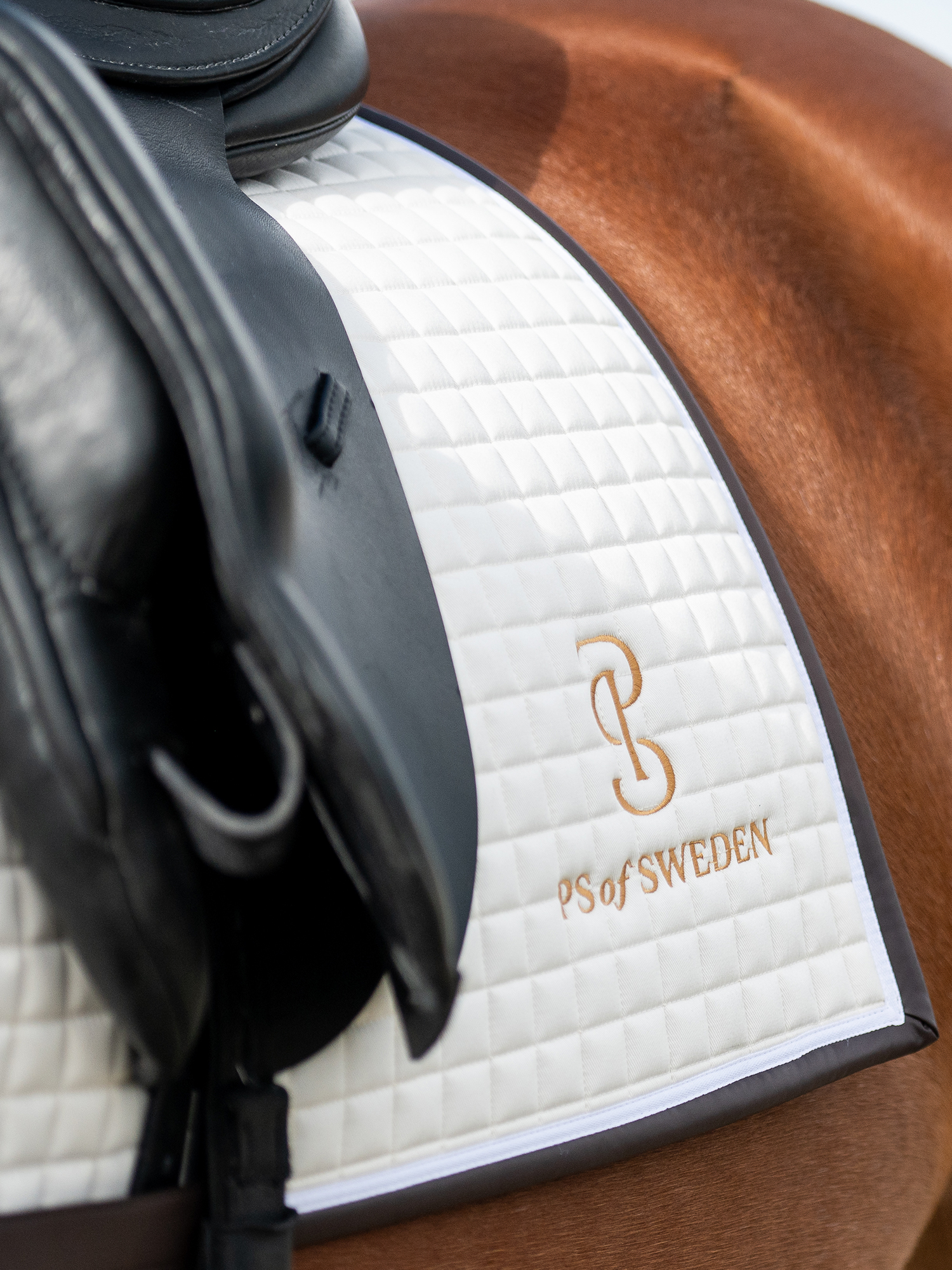 Saddle Pad Dressage Elite Edge