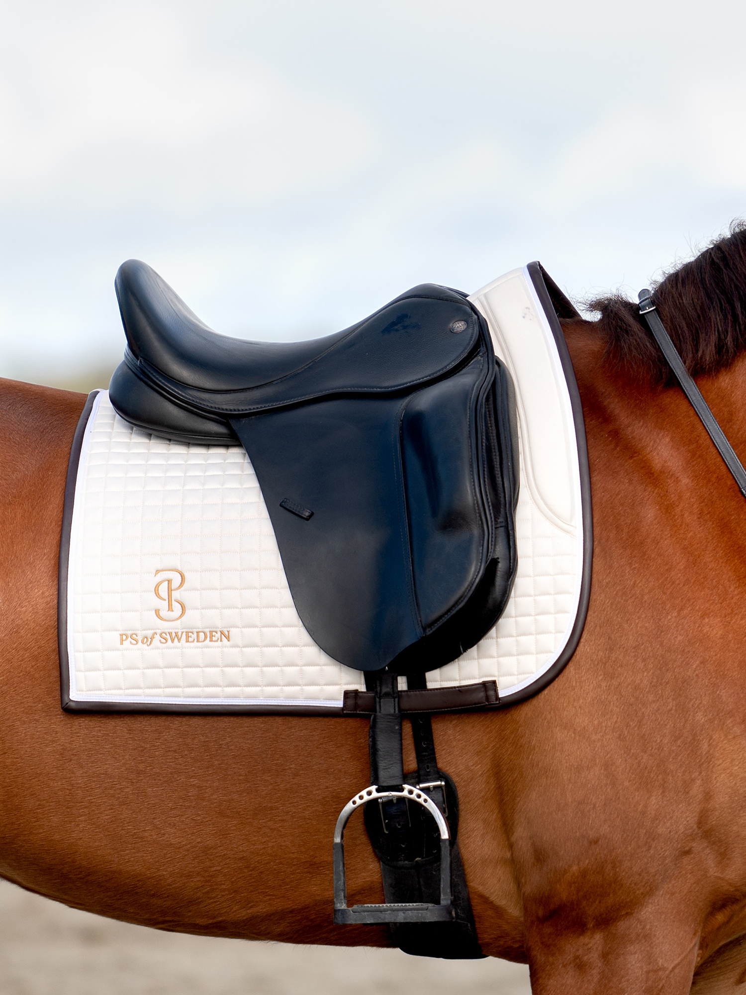 Saddle Pad Dressage Elite Edge