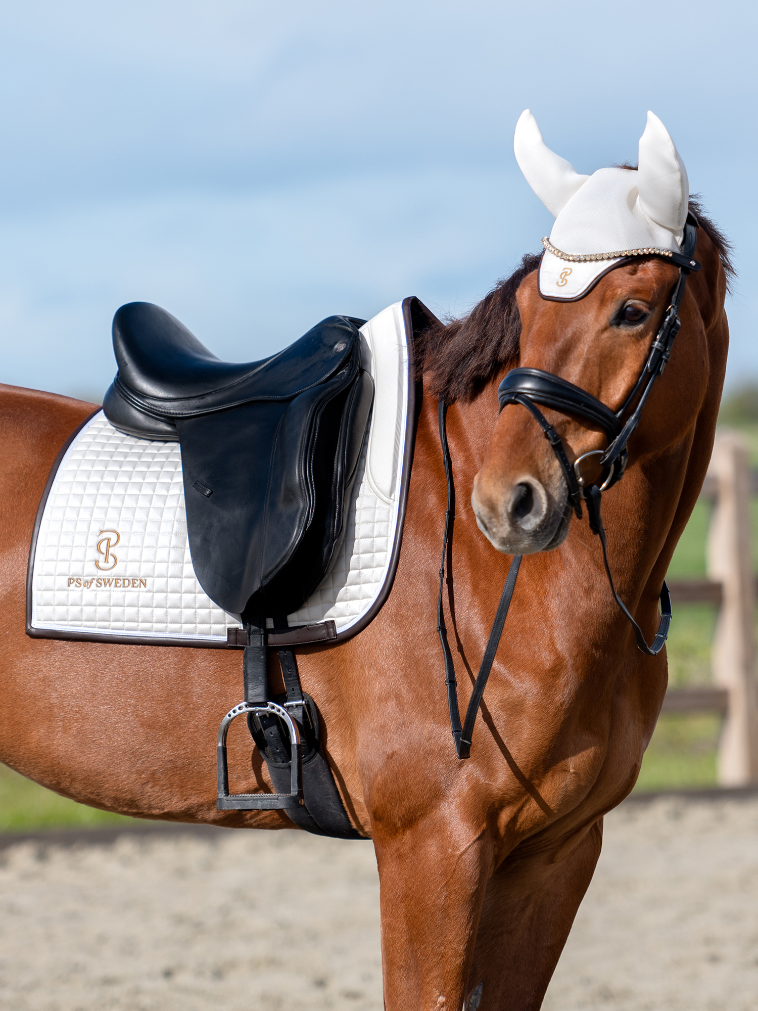 Saddle Pad Dressage Elite Edge
