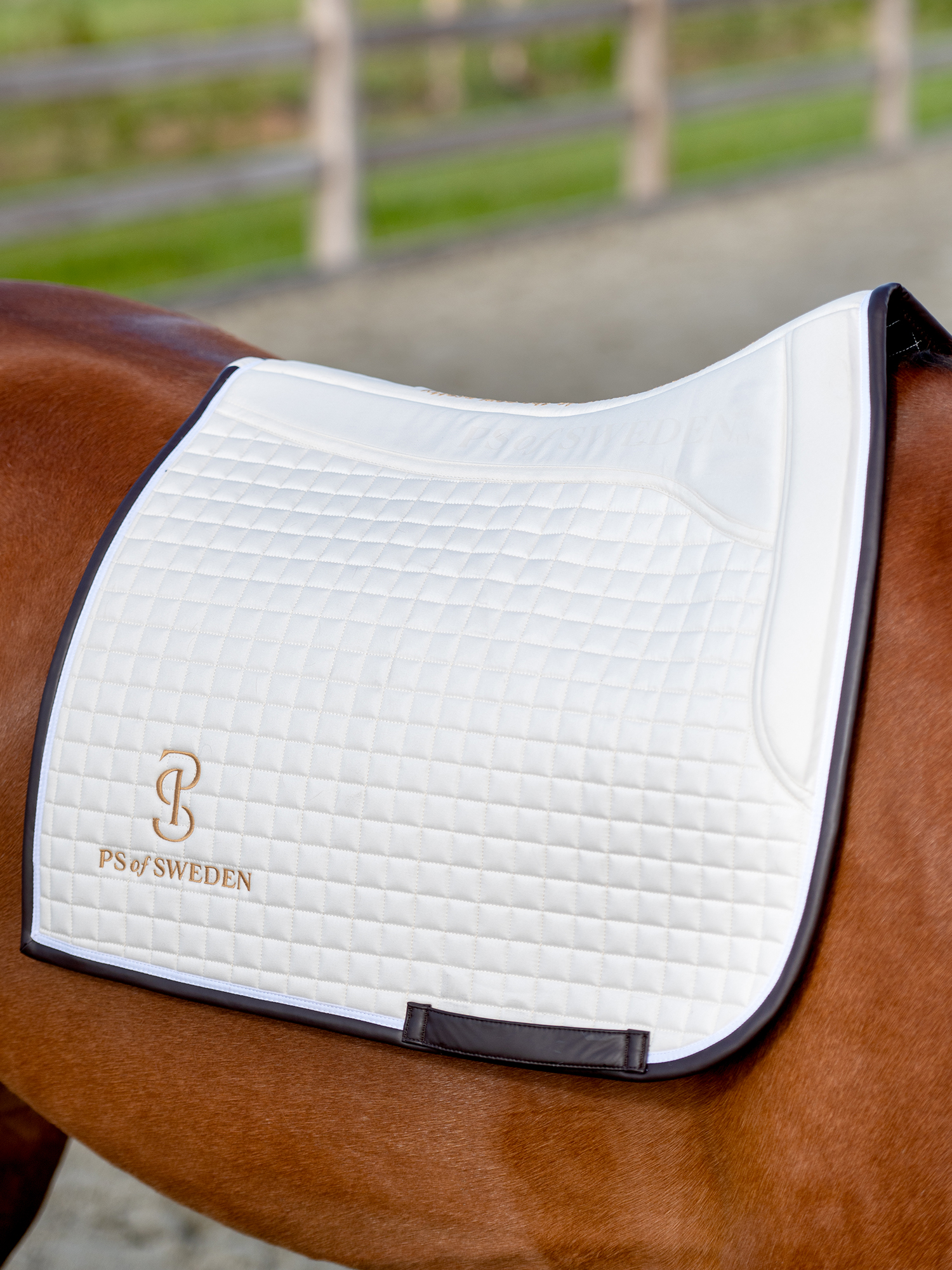 Saddle Pad Dressage Elite Edge