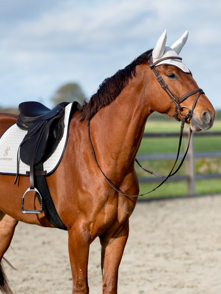 Saddle Pad Jump Elite Edge