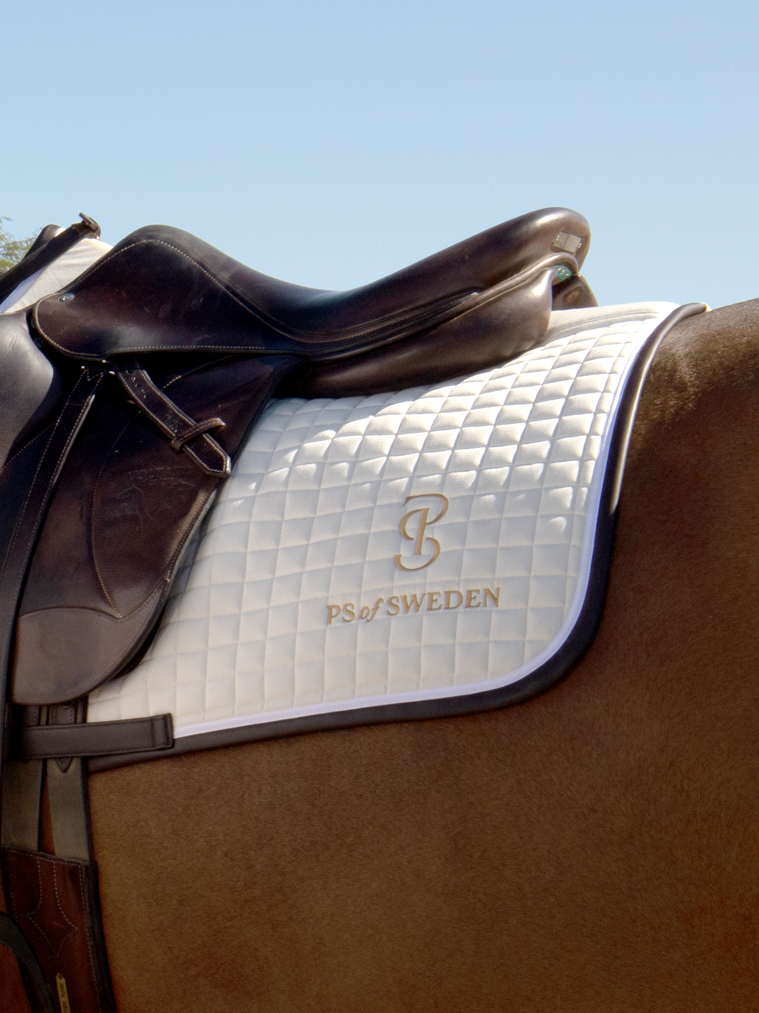 Saddle Pad Jump Elite Edge