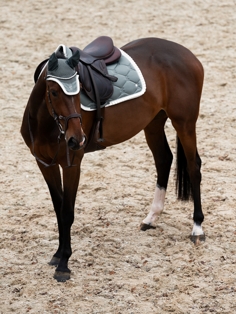 Equestrian quality products for both horses and riders • PS of Sweden