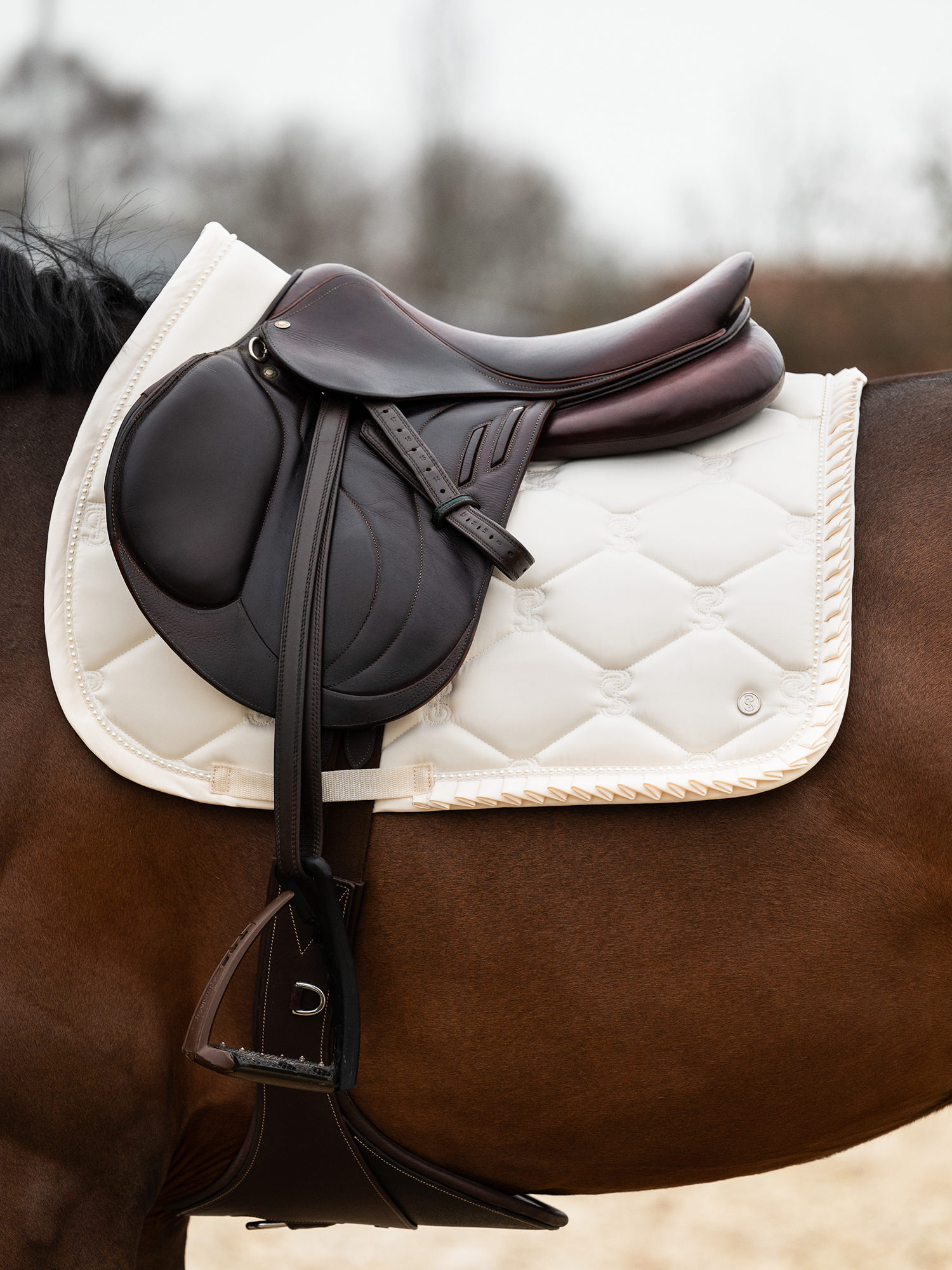 Equestrian quality products for both horses and riders • PS of 