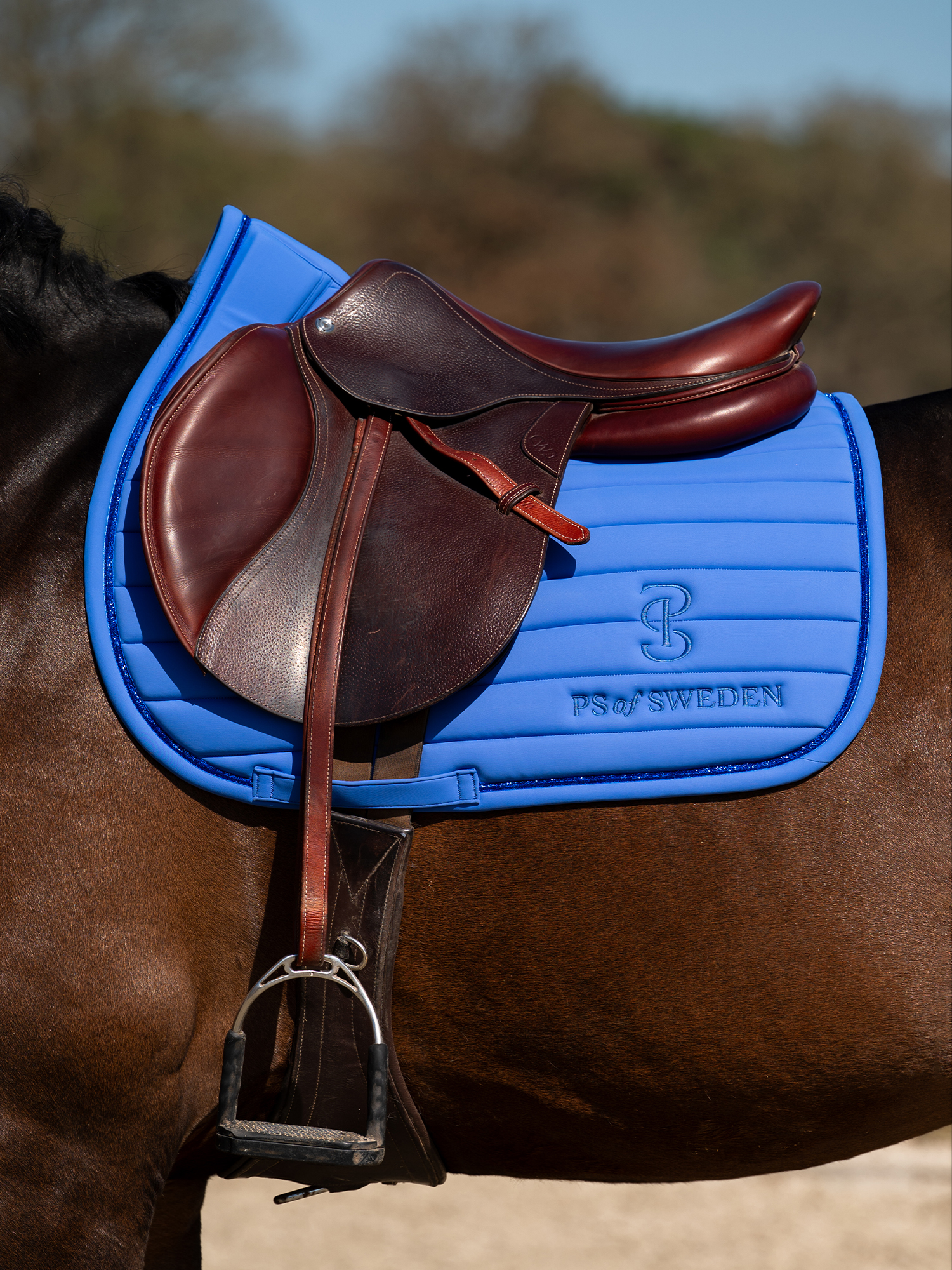 Stripe Jump Saddle Pad