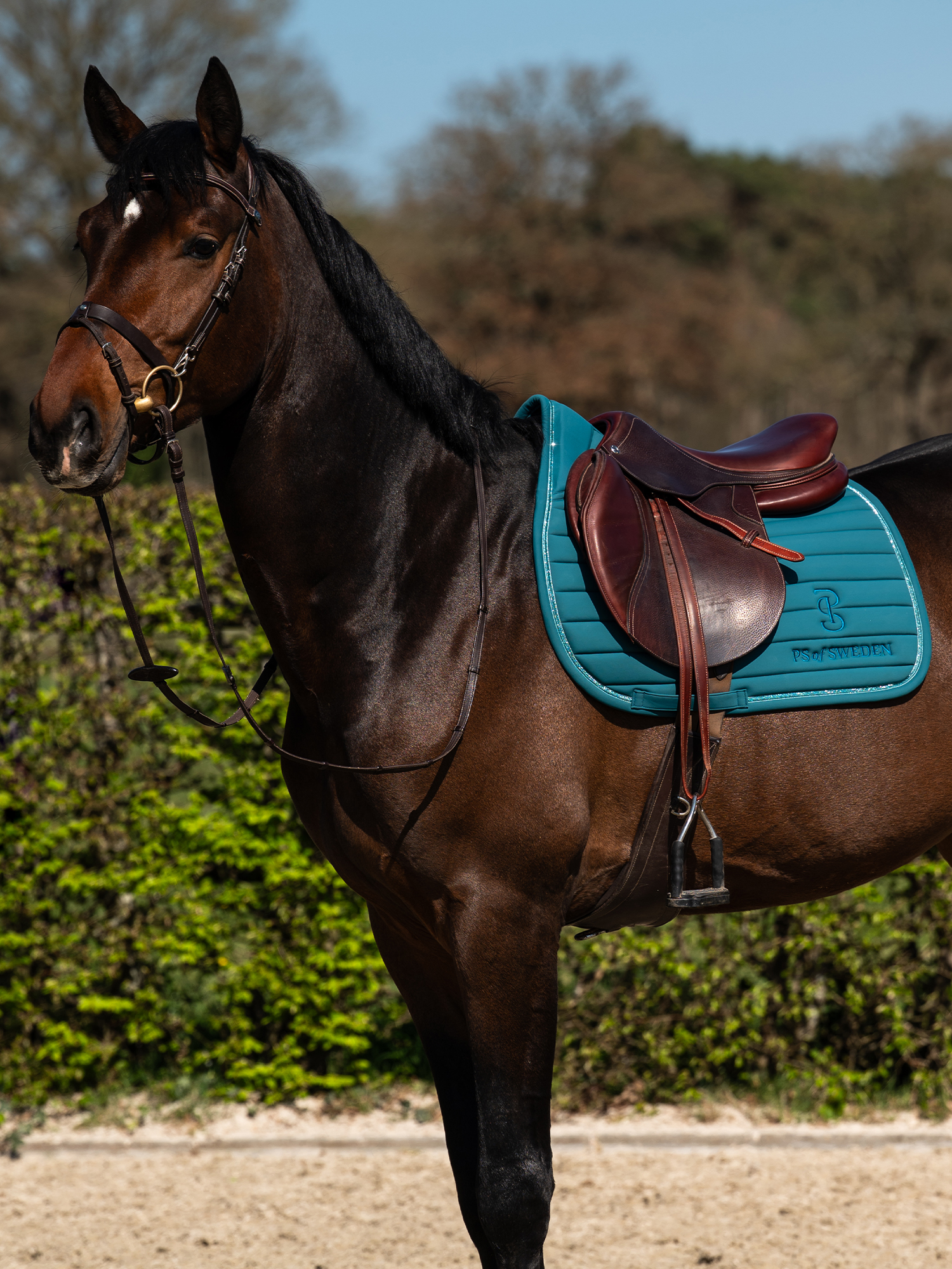 Stripe Jump Saddle Pad