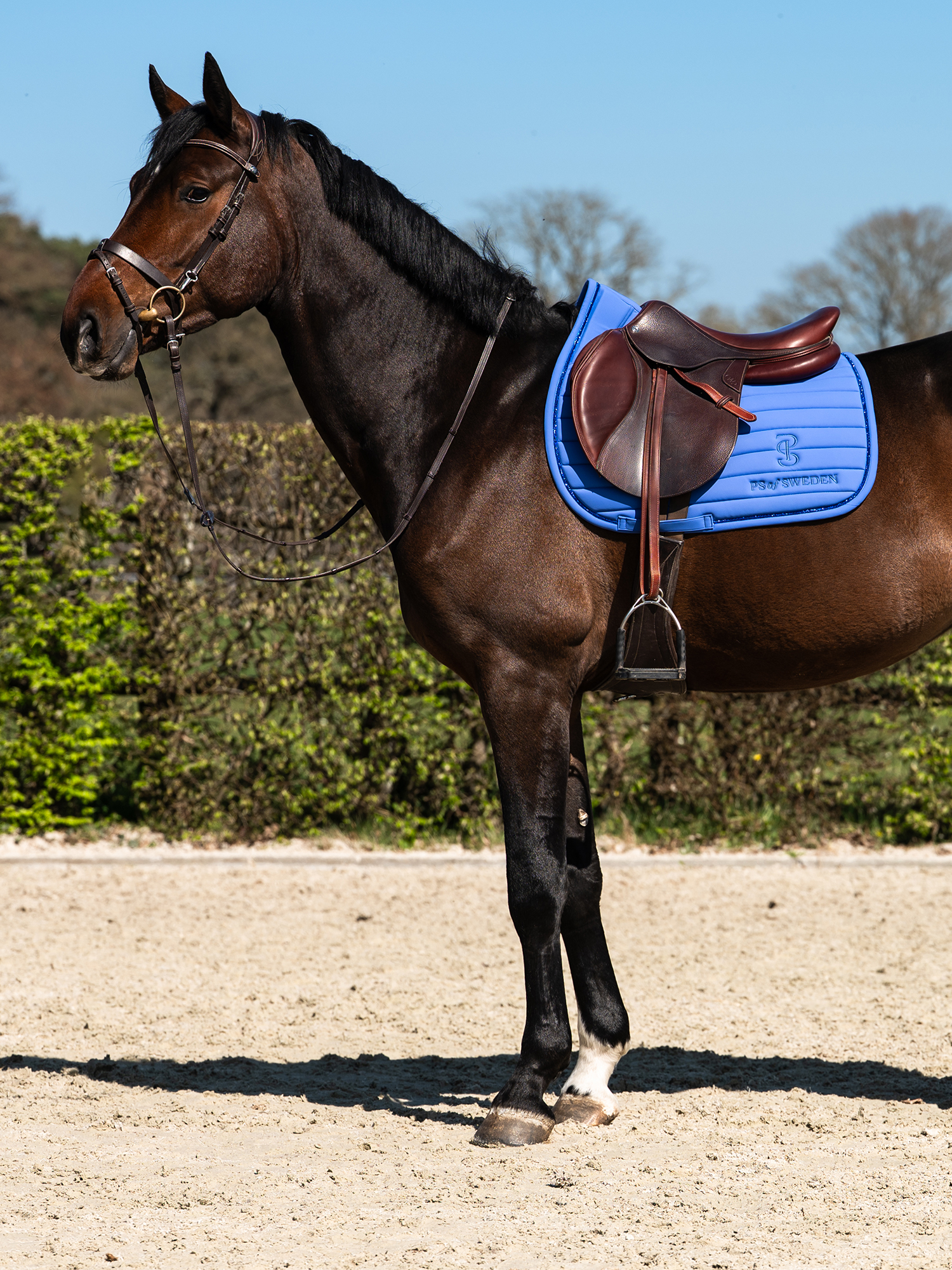 Stripe Jump Saddle Pad