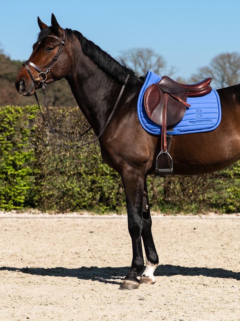 Stripe Jump Saddle Pad Stripe Jump Saddle Pad