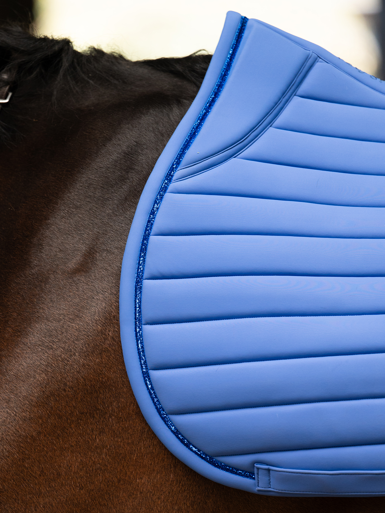 Stripe Jump Saddle Pad