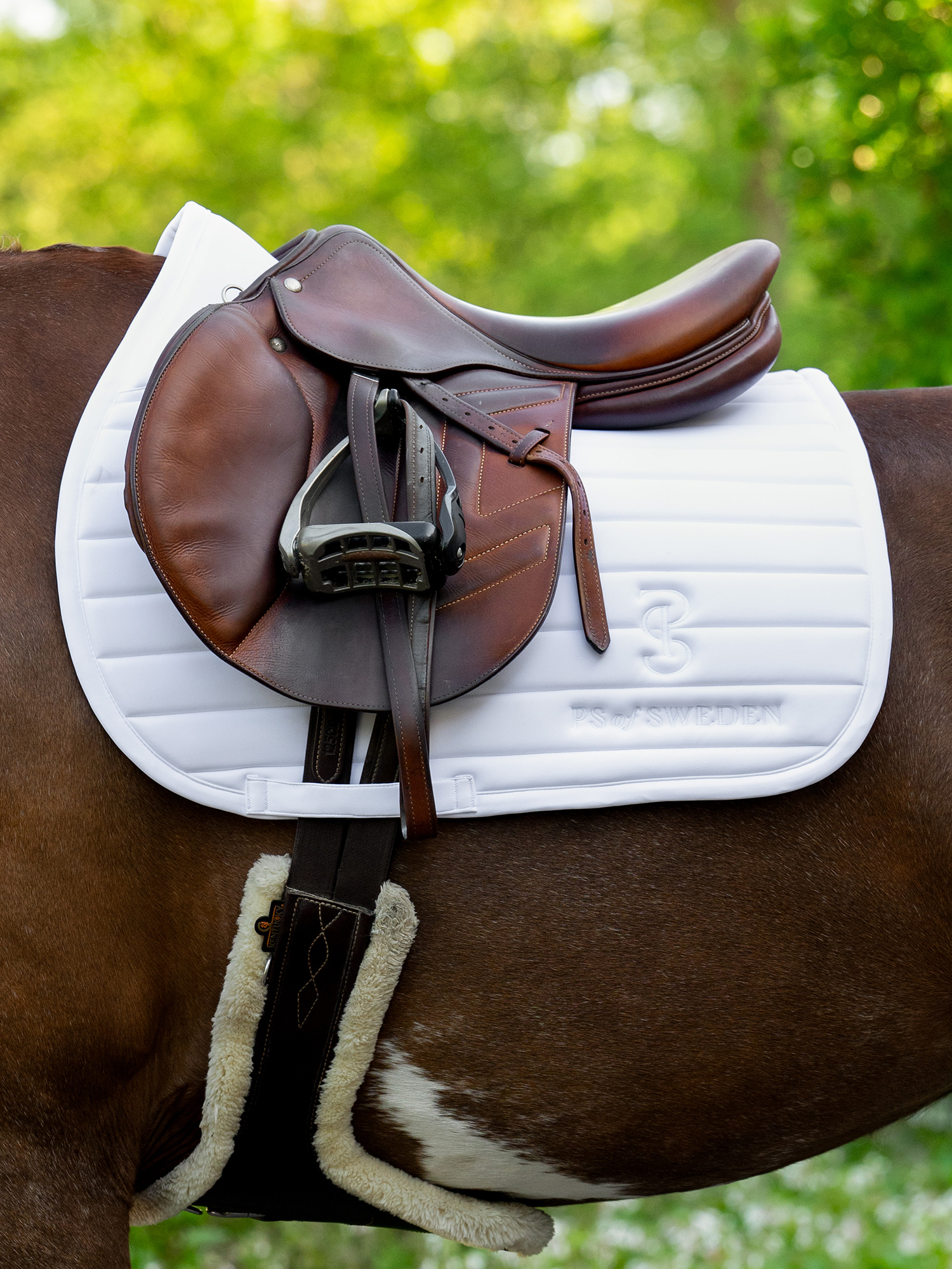 Stripe Jump Saddle Pad