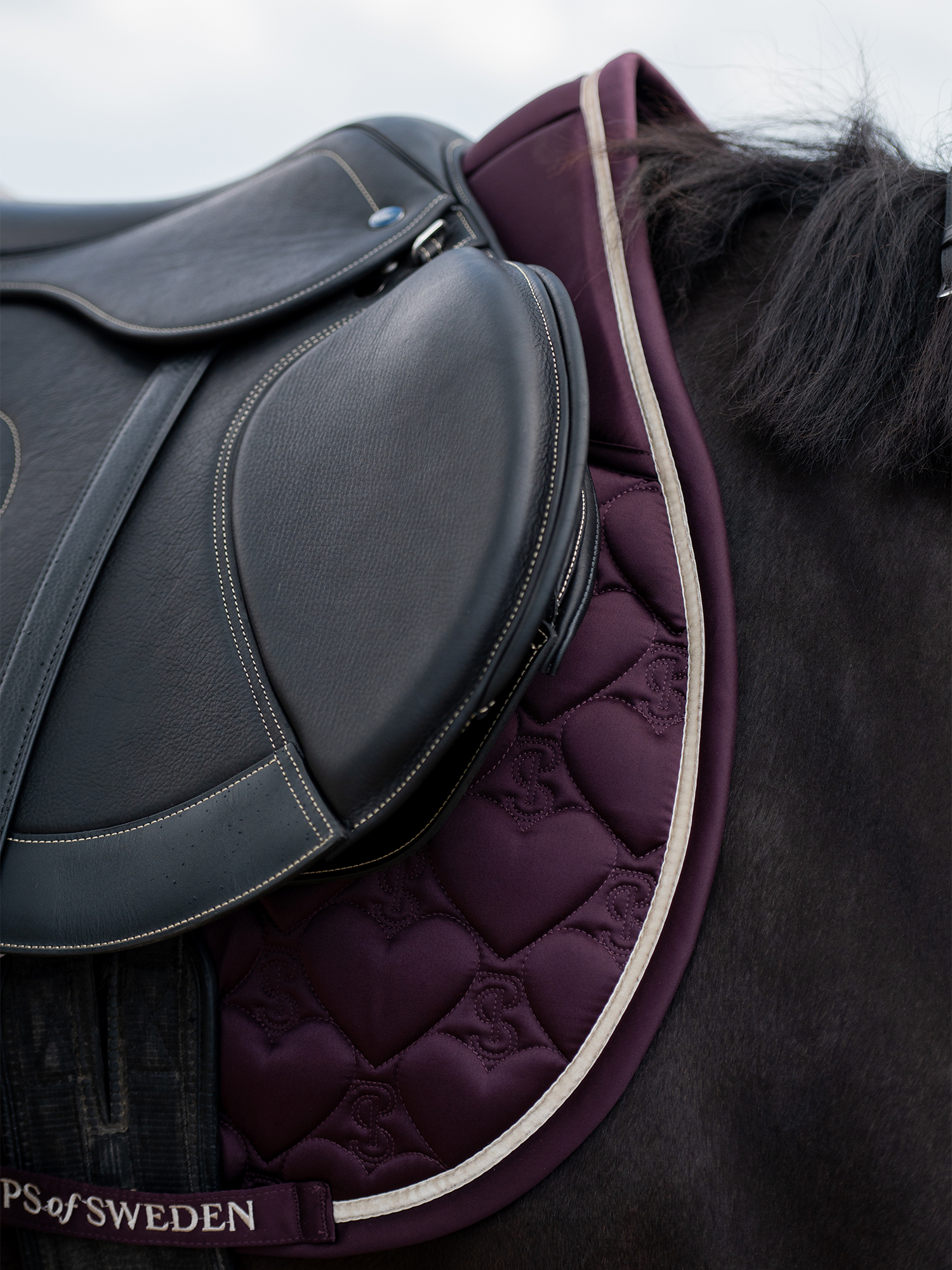 Saddle Pad Heart Jump