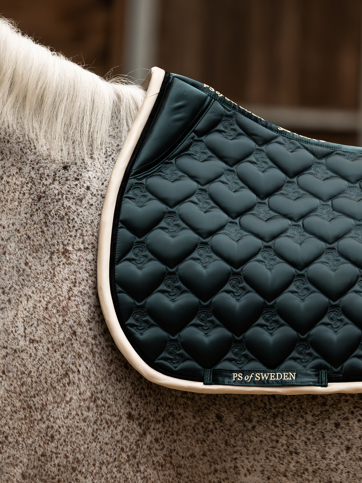 Saddle Pad Heart Jump
