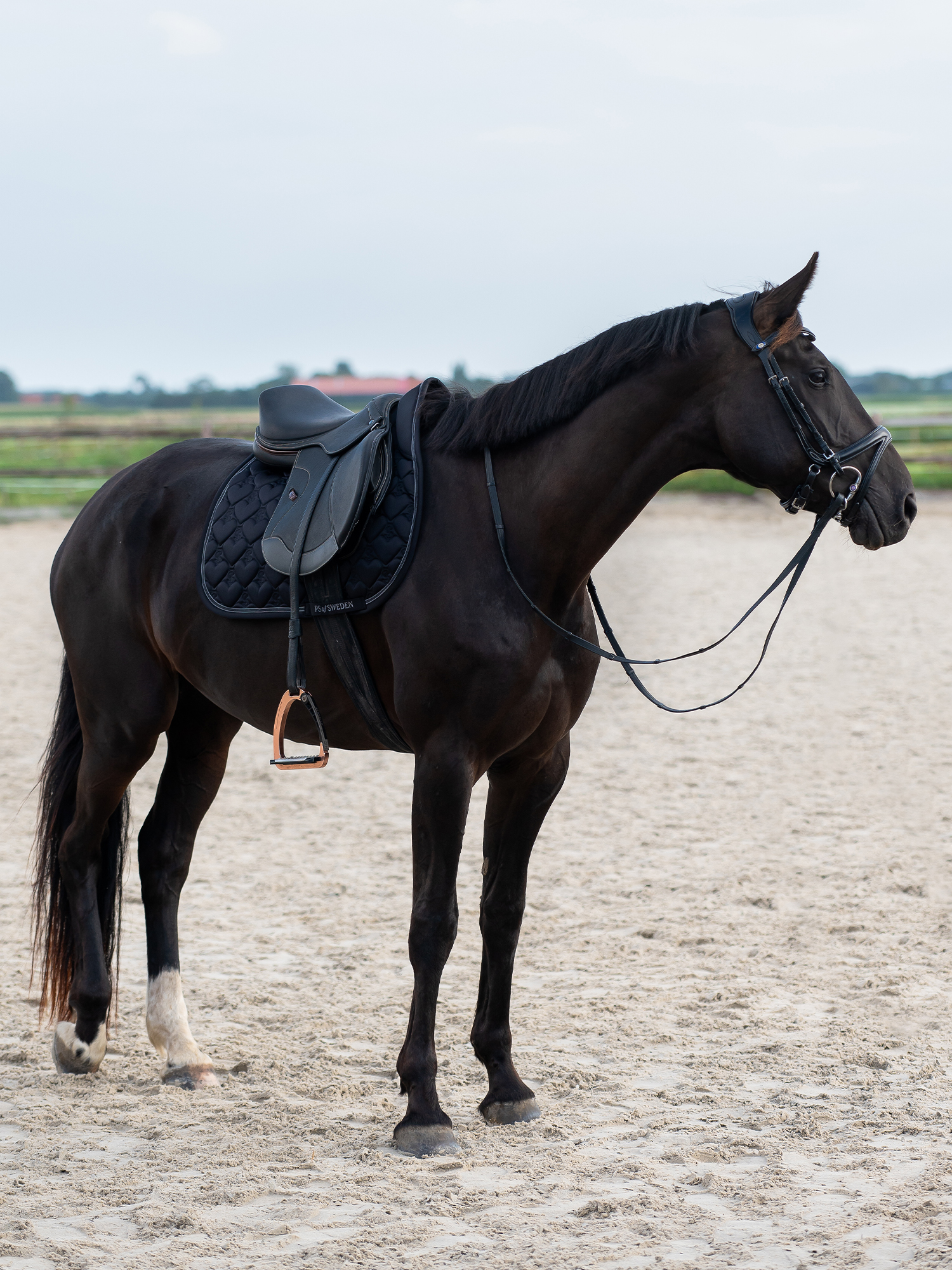Saddle Pad Heart Jump