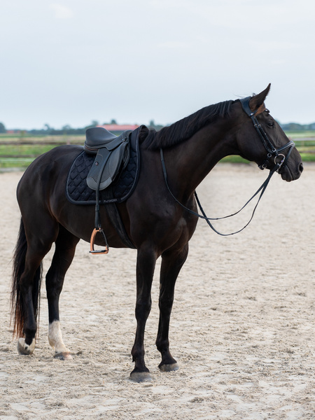 Saddle Pad Heart Jump