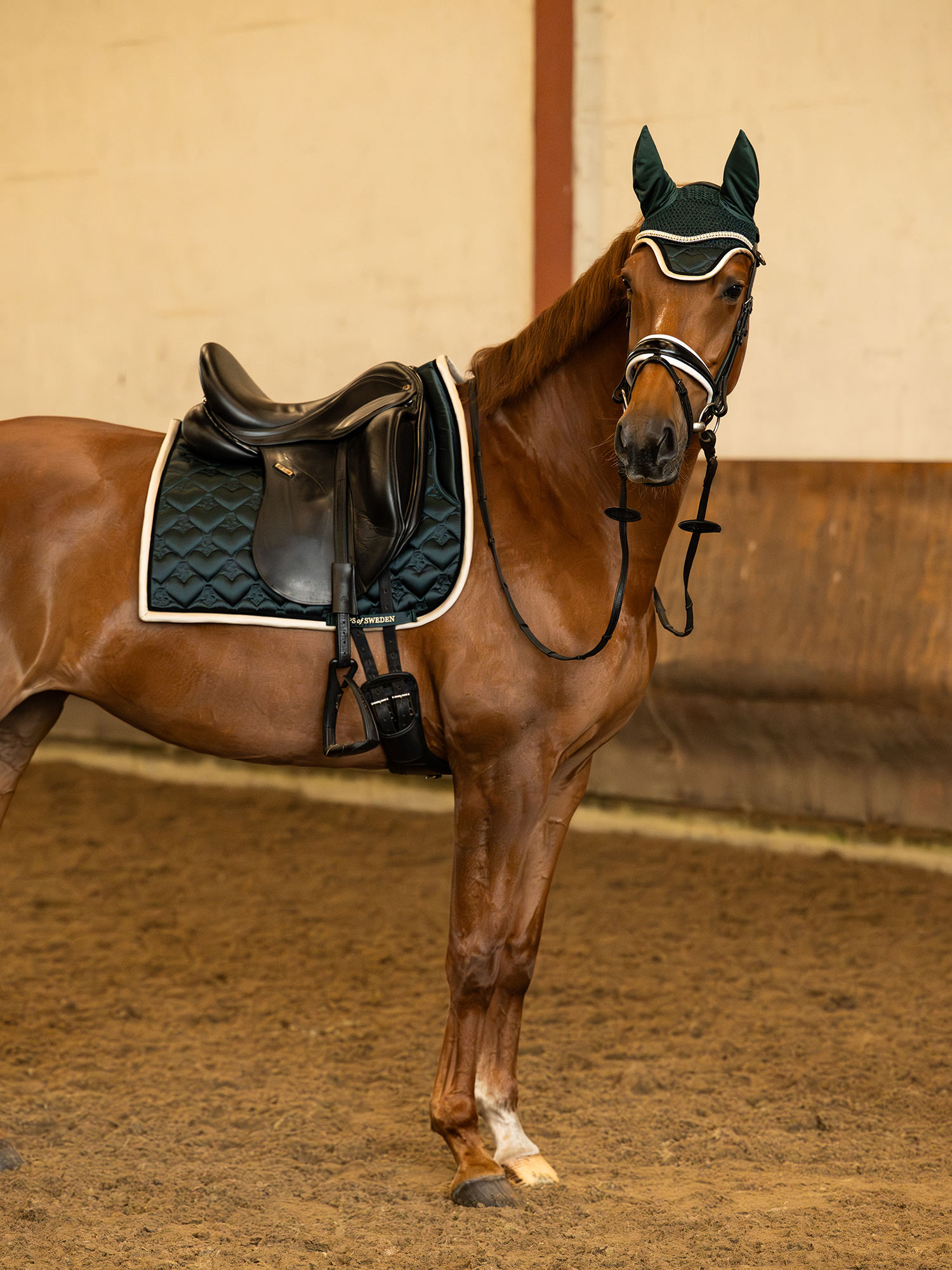 Saddle Pad Heart Dressage