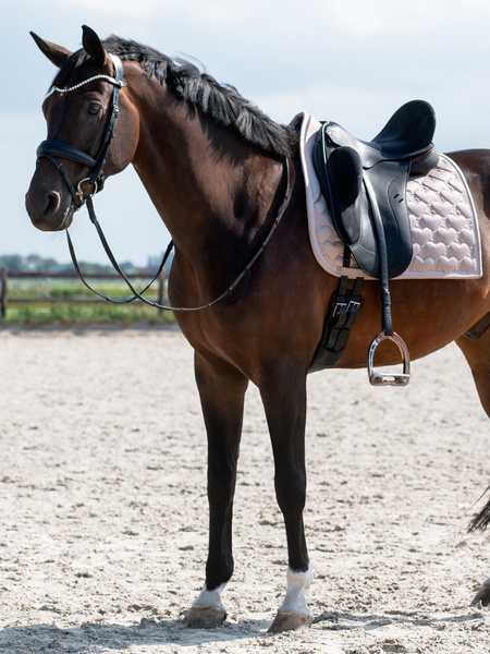 Saddle Pad Heart Dressage