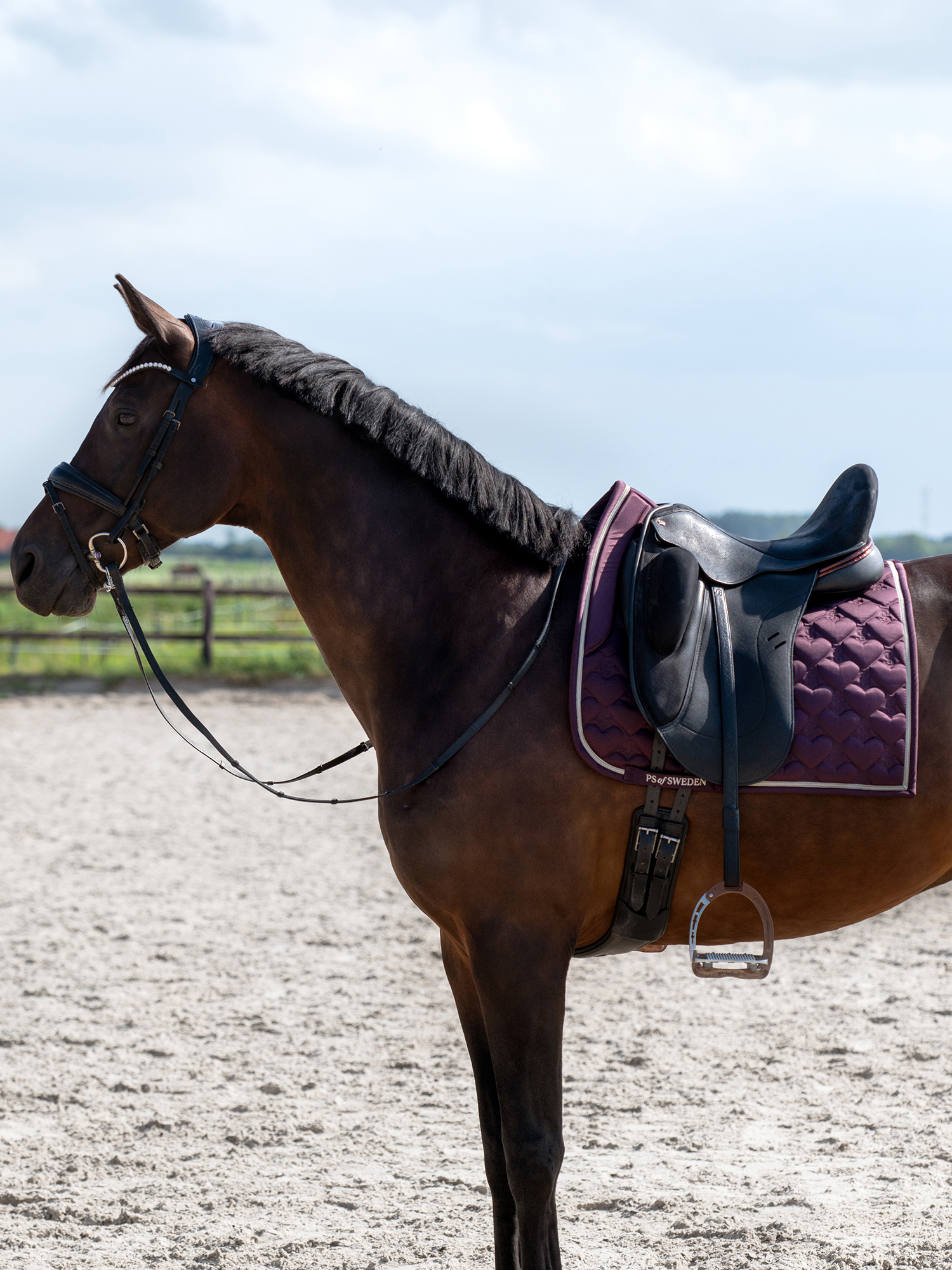 Saddle Pad Heart Dressage