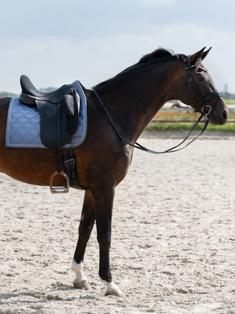Saddle Pad Heart Dressage Saddle Pad Heart Dressage