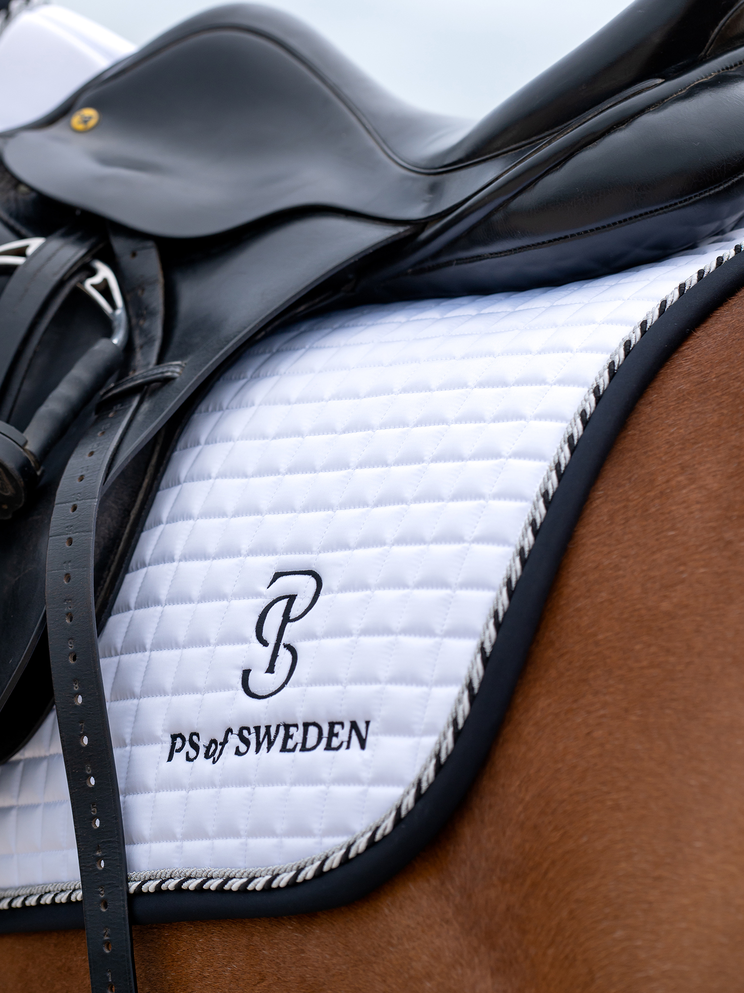Saddle Pad Competition Pro Jump