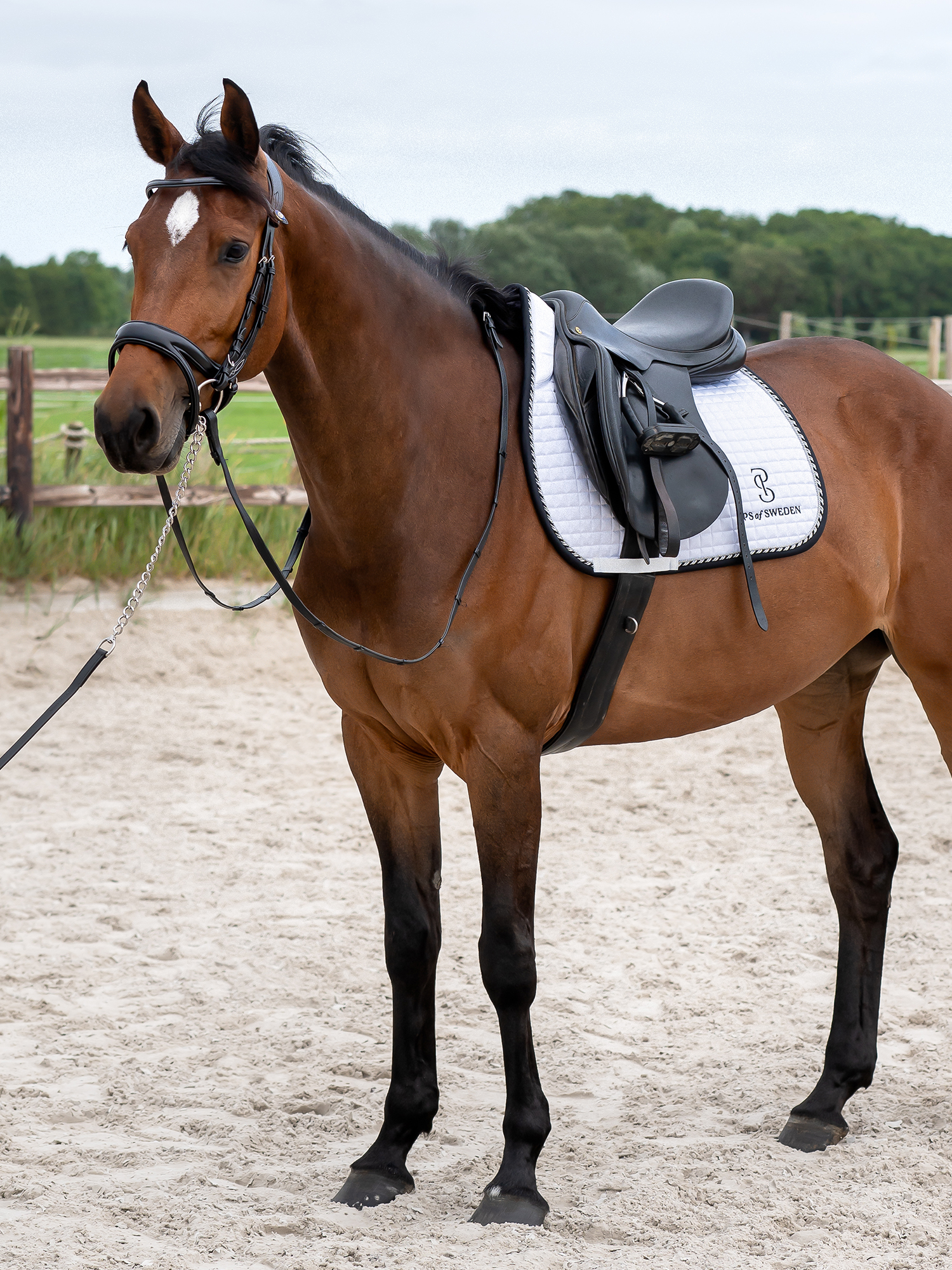 Saddle Pad Competition Pro Jump