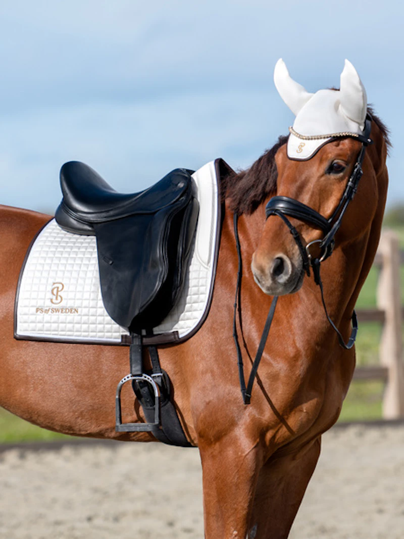 Ear Bonnet Elite Edge Ear Bonnet Elite Edge