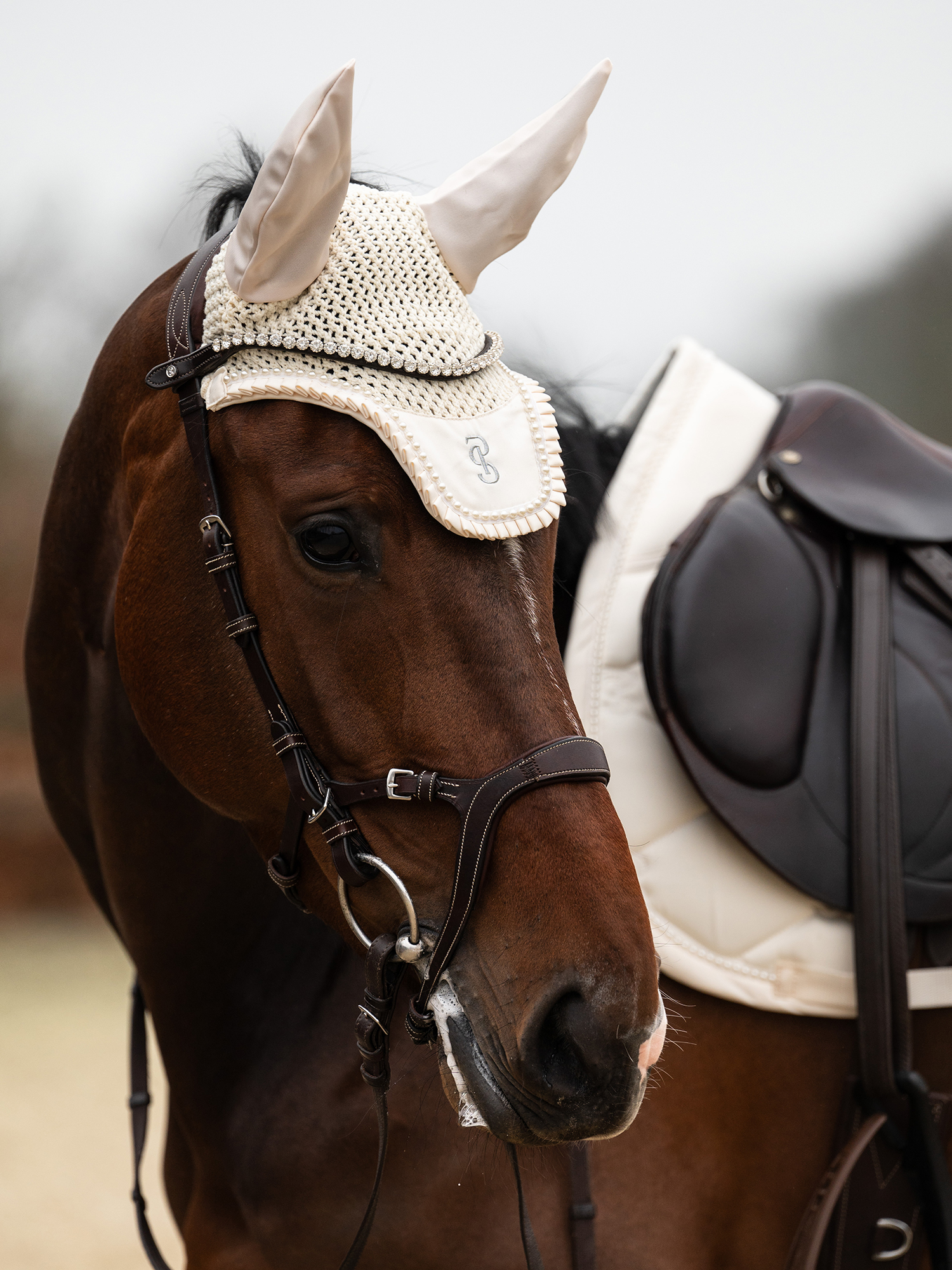 Horse Gear - Buy in the official webshop | PS of Sweden | PS 