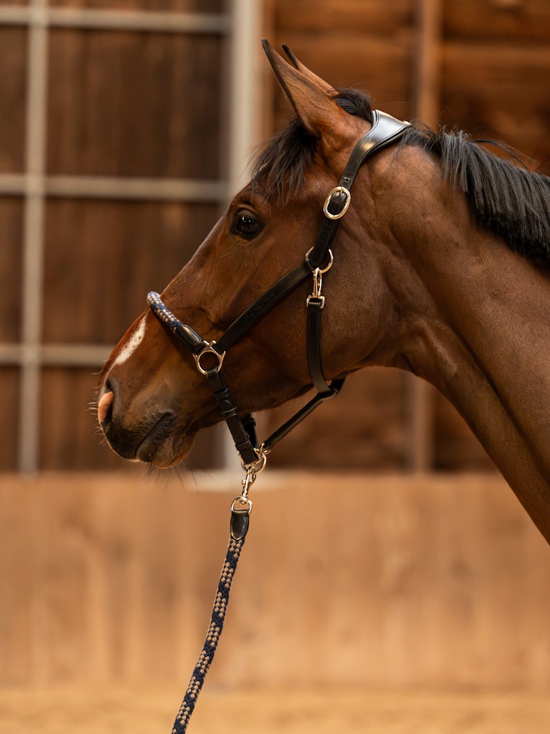 Palermo Leather Halter Palermo Leather Halter