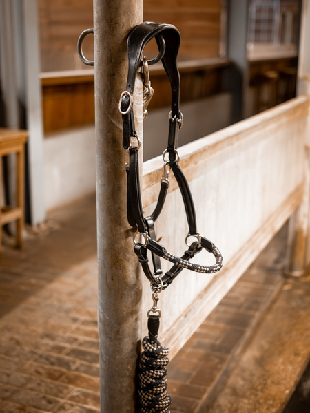 Palermo Leather Halter