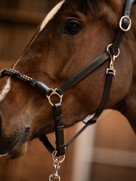 Palermo Leather Halter