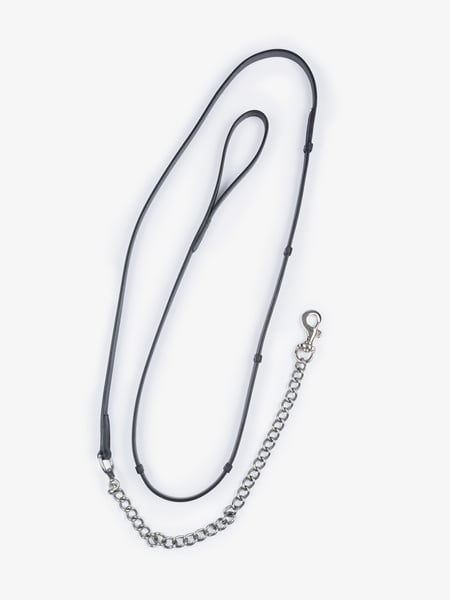 Chain Lead Rope