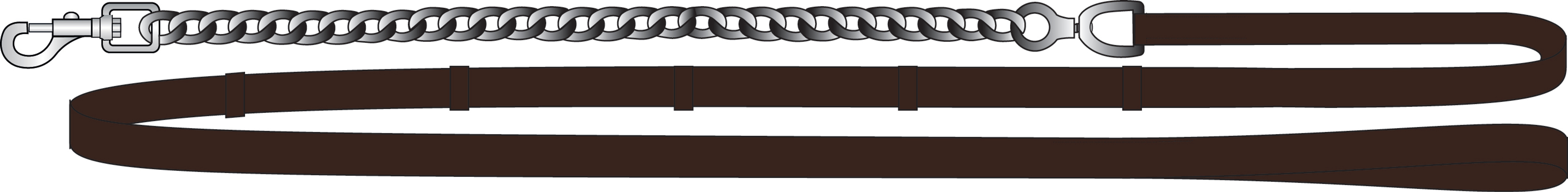 Chain Lead Rope