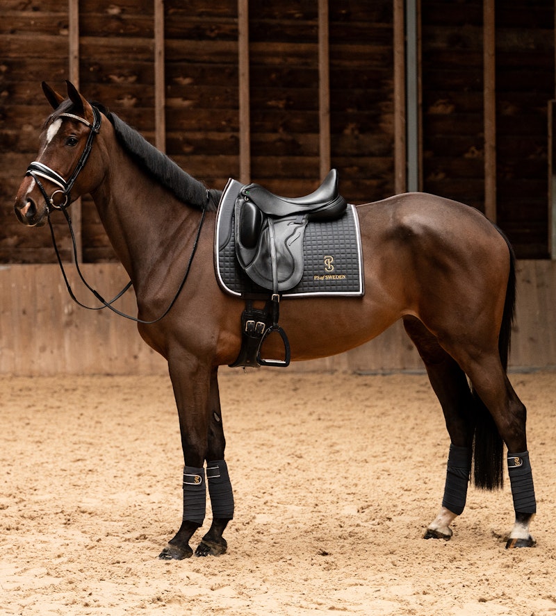 Polos Elite Edge Polos Elite Edge