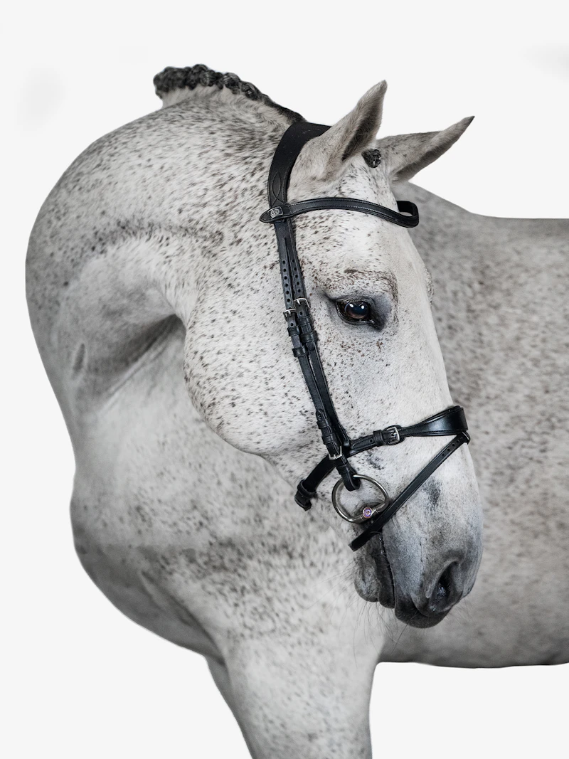 Mary Lou by Henrik von Eckermann Bridle + Reins Softy / Supergrip Mary Lou by Henrik von Eckermann Bridle + Reins Softy / Supergrip