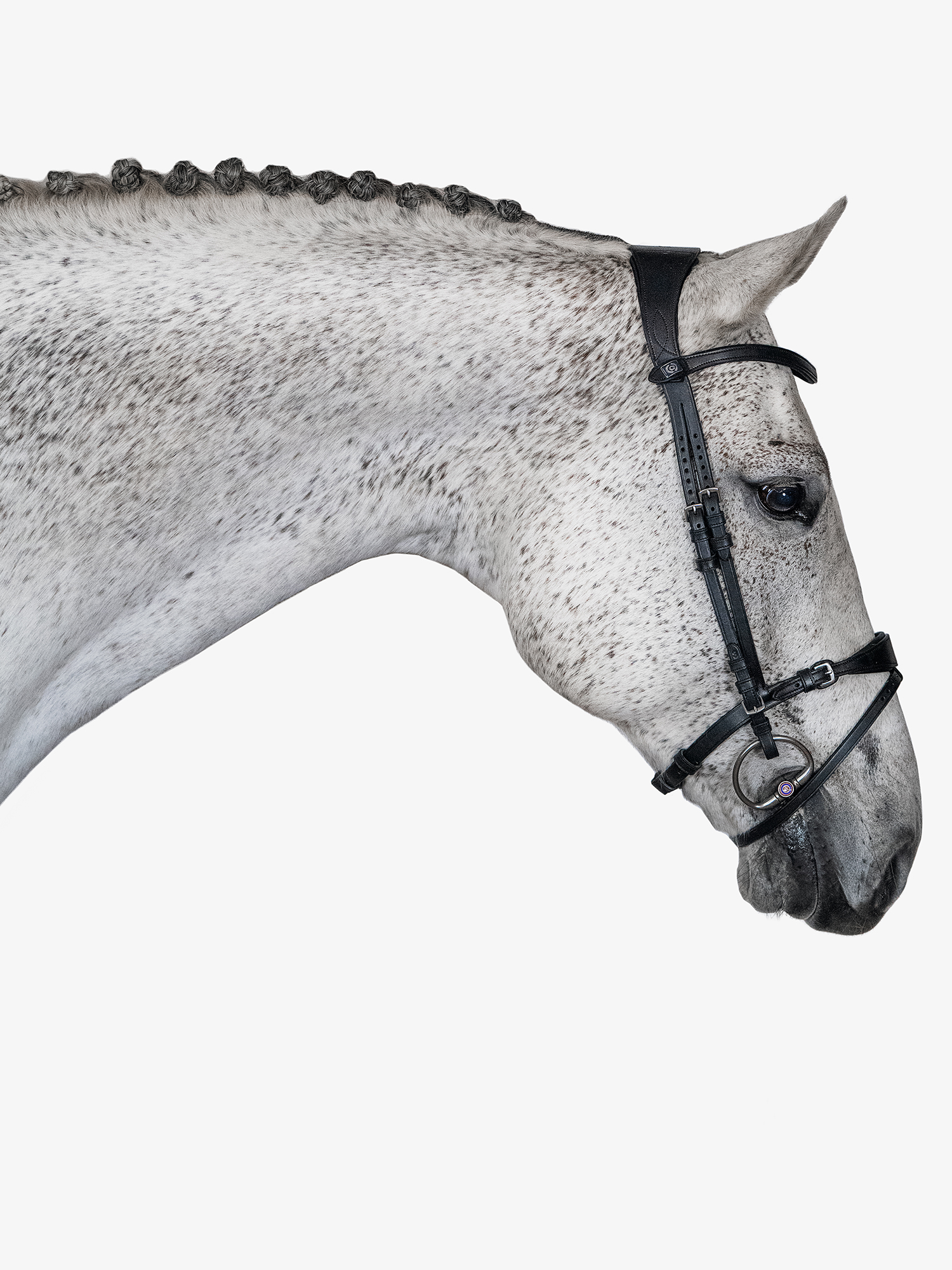 Mary Lou by Henrik von Eckermann Bridle + Reins Santa Fe