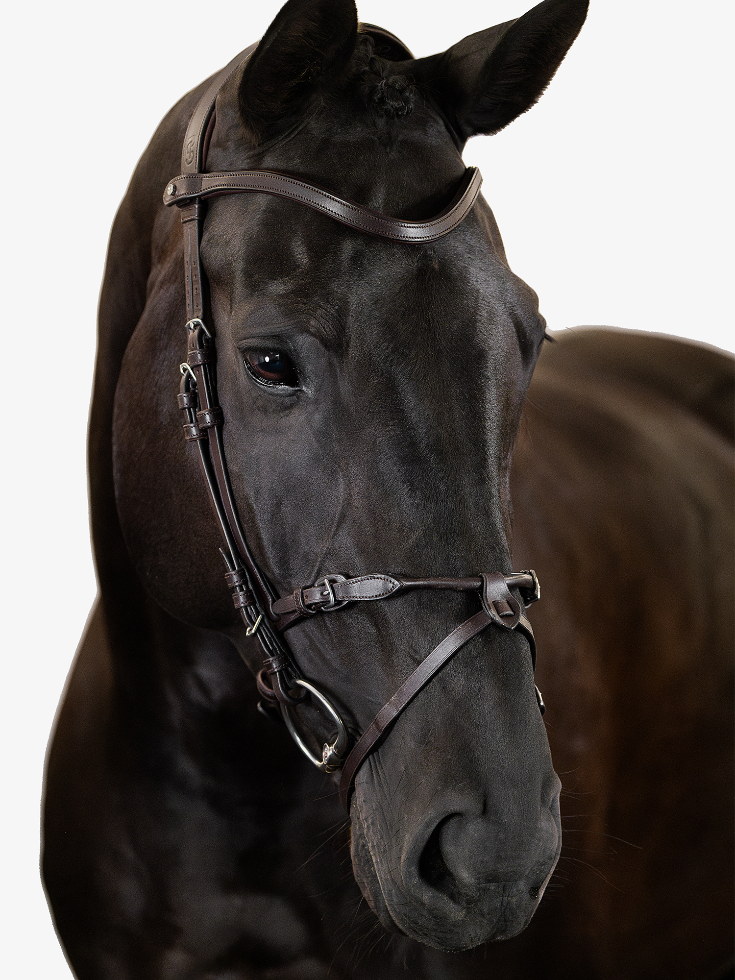 Mary Lou by Henrik von Eckermann Bridle + Reins Santa Fe