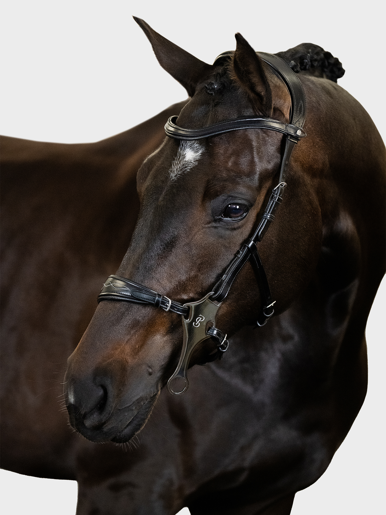 Hackamore Sport Bridle +Reins Santa Fe