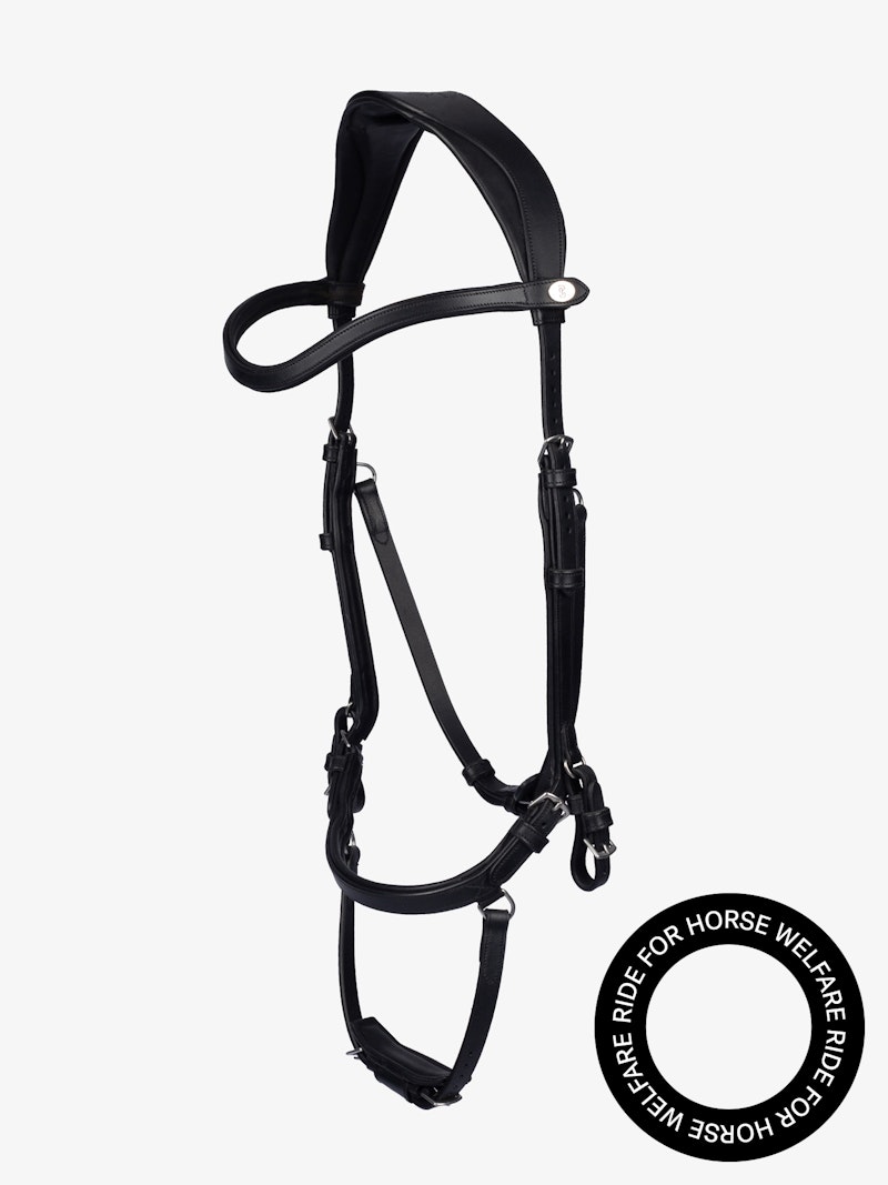 Bridle King Edward Bridle King Edward