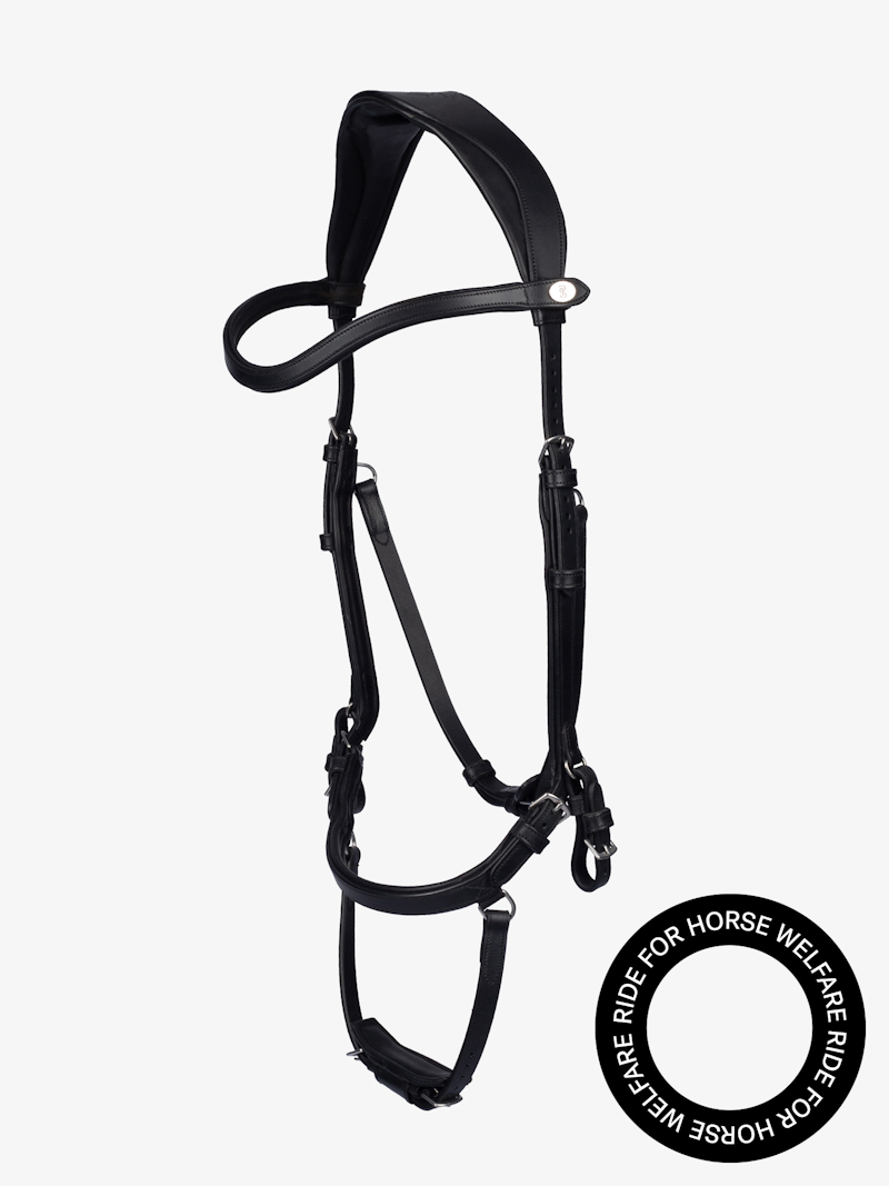 King Edward Träns King Edward Träns